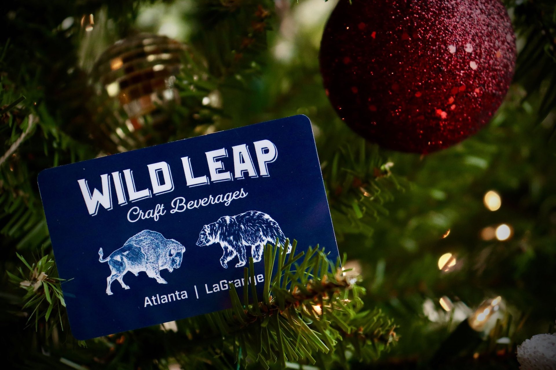 Wild-Leap-Gift-Card