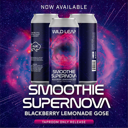 Wild Leap Smoothie Supernova Blackberry Lemonade Gose